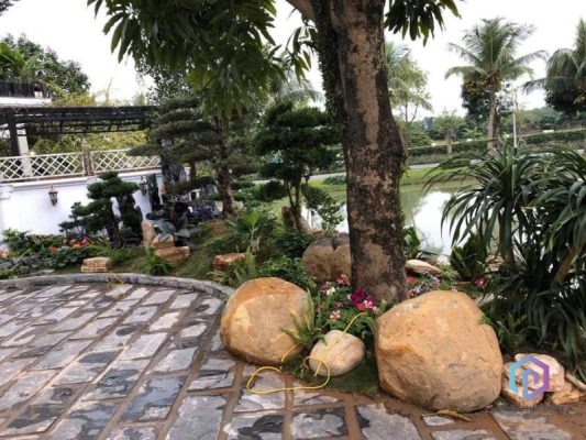 Trong nhịp sống hiện đại đầy vội vã, đá mỹ nghệ vẫn lặng lẽ hiện diện, vững vàng và trầm tĩnh. Đó chính là sức hấp dẫn đặc biệt của những tác phẩm được sinh ra từ đá