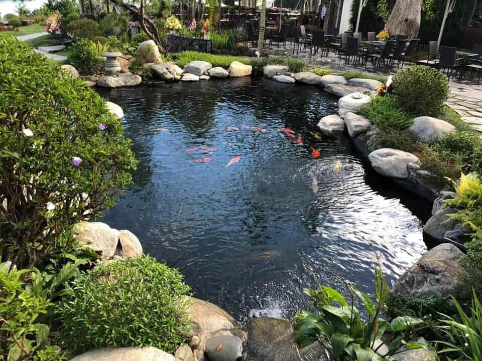 Đá cảnh suối nhân tạo có thể được tạo dựng theo nhiều phong cách khác nhau: