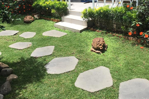 Hiện nay, xu hướng thiết kế cảnh quan biệt thự ngày càng chú trọng đến sự tối giản và tính bền vững