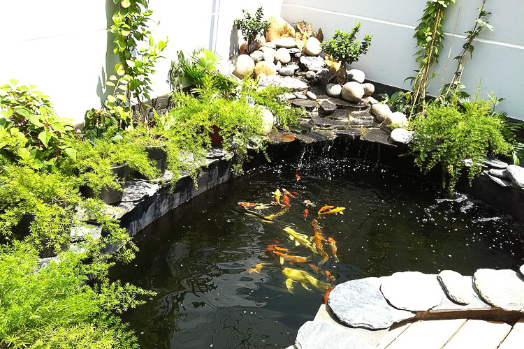 Trang trí hồ cá Koi, non bộ bằng đá mỹ nghệ không chỉ mang lại vẻ đẹp tự nhiên mà còn tạo chiều sâu phong thủy và giá trị bền vững cho công trình