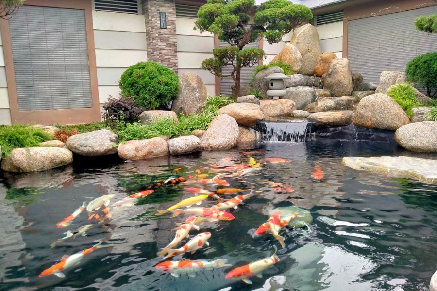 Theo quan niệm phong thủy, đá tượng trưng cho sự vững chãi và ổn định, còn nước đại diện cho tài lộc và sinh khí