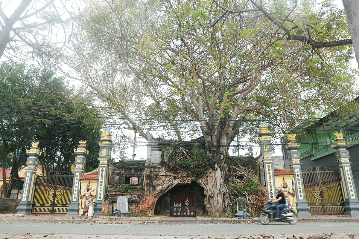 Trong văn hóa Việt Nam, đá không chỉ là vật liệu xây dựng mà còn gắn liền với đời sống tâm linh